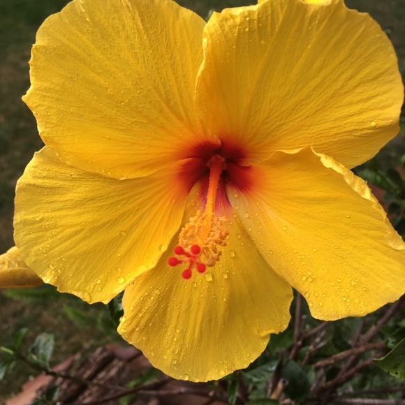 Meet your Posher, Marilyn - Picture 1 of 1